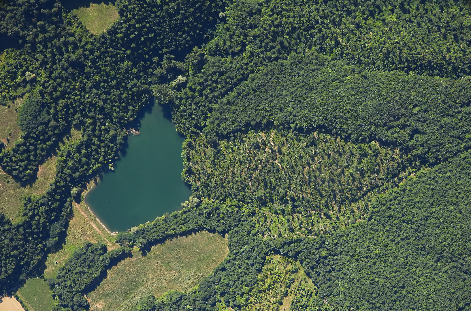 Aerial view of a forested landscape with a heart-shaped lake at the center, captured from a Stratostats® high-altitude platform.
