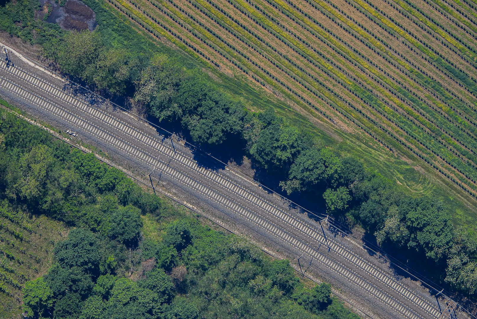 Aerial view of railway tracks running parallel to a tree line and cultivated farmland, captured from a Stratostats® high-altitude platform. Crop rows and dense greenery are clearly visible.